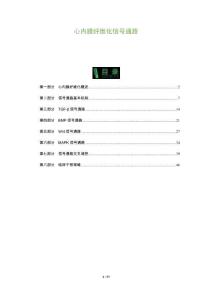 心内膜纤维化信号通路