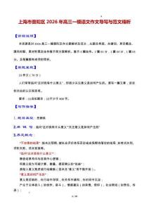 專題11上海市普陀區(qū)2026年高三一模語文作文導(dǎo)寫與范文精析（對“意義如何產(chǎn)生”的思考）（上海專用）2026年高考語文一模作文導(dǎo)寫