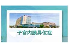 子宫内膜异位症PPT