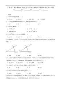 2024-2025學(xué)年廣州市番禺區(qū)八年級（上）期末數(shù)學(xué)試題含答案