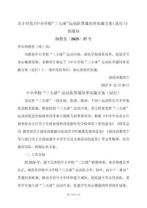 湖南省中小學校“三大球”運動隊貫通培養實施方案（試行）（2025年）