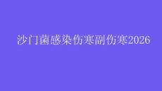 沙门菌感染伤寒副伤寒2026