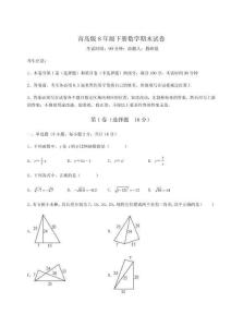 2024-2025學年青島版8年級下冊數學期末試卷【名師系列】附答案詳解