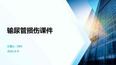 输尿管损伤课件