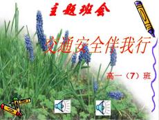 [初中教育]高一7班主題班會(huì)：交通安全伴我行