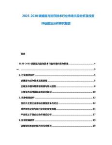 2025-2030碳捕捉與封存技術行業市場供需分析及投資評估規劃分析研究報告