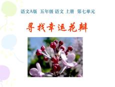 A版語文五年級(上) 尋找幸運花瓣 課件