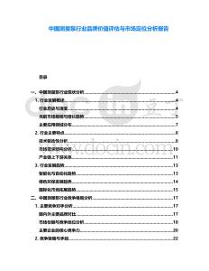 中國測量泵行業品牌價值評估與市場定位分析報告