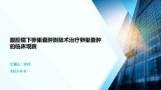 腹腔镜下卵巢囊肿剥除术治疗卵巢囊肿的临床观察