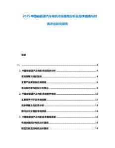 2025中國新能源汽車電機市場格局分析及技術路線與財務評估研究報告