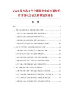 2026及未來5年中國智能全自動捆鈔機市場現狀分析及前景預測報告