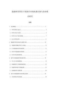 能源轉型背景下的新興市場機遇識別與商業模式研究