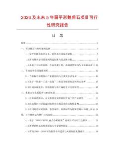 2026及未来5年扁平形鹅卵石项目可行性研究报告