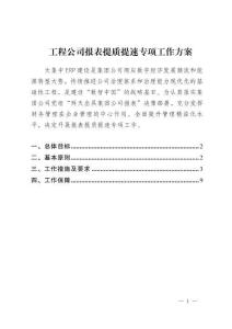 工程公司报表提质提速专项工作方案