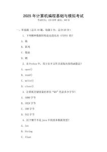 2025年計算機(jī)編程基礎(chǔ)與模擬考試
