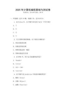 2025年計算機(jī)編程基礎(chǔ)與測試卷