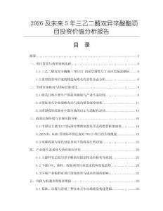 2026及未来5年三乙二醇双异辛酸酯项目投资价值分析报告