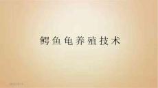 鳄 鱼 龟 养 殖 技 术