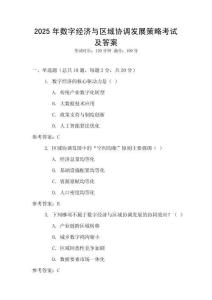 2025年數字經濟與區域協調發展策略考試及答案