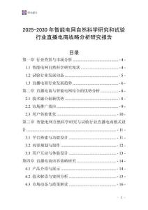 2025-2030年智能電網(wǎng)自然科學(xué)研究和試驗(yàn)行業(yè)直播電商戰(zhàn)略分析研究報(bào)告