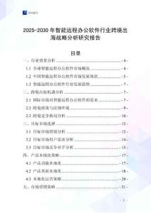 2025-2030年智能遠(yuǎn)程辦公軟件行業(yè)跨境出海戰(zhàn)略分析研究報(bào)告