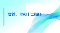 食管、胃和十二指腸