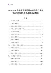 2025-2030年中國大麥跨境電商平臺行業前景趨勢預測及發展戰略咨詢報告
