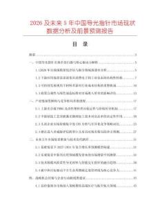 2026及未來5年中國導(dǎo)光指針市場現(xiàn)狀數(shù)據(jù)分析及前景預(yù)測報(bào)告