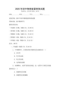 2025年初中物理能量轉(zhuǎn)換試題