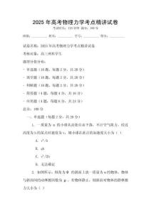 2025年高考物理力學(xué)考點(diǎn)精講試卷