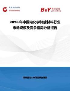 2026年中国电化学储能材料行业市场规模及竞争格局分析报告