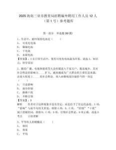 2025海南三亞市教育局招聘編外聘用工作人員12人（第1號）參考題庫含答案詳解ab卷