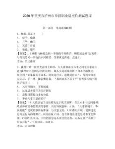 2026年重慶市瀘州市單招職業適應性測試題庫含答案詳解（最新）