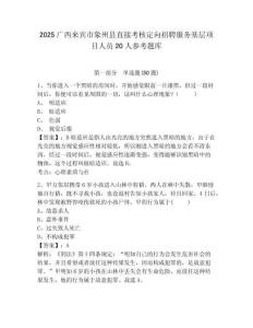 2025广西来宾市象州县直接考核定向招聘服务基层项目人员20人参考题库附答案详解（精练）