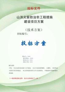 2026年山洪災害防治非工程措施建設項目方案投標文件（技術標）