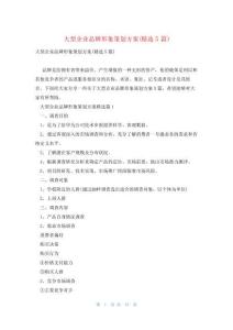 大型企業(yè)品牌形象策劃方案(精選5篇)