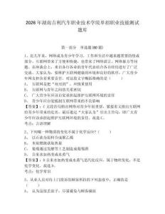 2026年湖南吉利汽車職業技術學院單招職業技能測試題庫帶答案詳解（達標題）