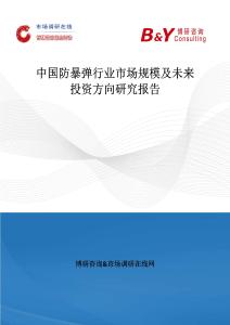 中國防暴彈行業市場規模及未來投資方向研究報告
