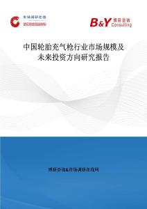 中國輪胎充氣槍行業市場規模及未來投資方向研究報告