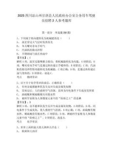2025四川涼山州甘洛縣人民政府辦公室公務用車駕駛員招聘2人參考題庫含答案詳解（模擬題）