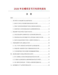 2026年衣帽项目可行性研究报告
