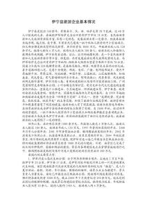 伊寧縣旅游企業(yè)基本情況