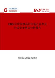 2025年中國黑晶爐市場占有率及行業競爭格局分析報告