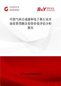 中國氣體合成器和電子鼻行業(yè)市場前景預(yù)測及投資價值評估分析報告