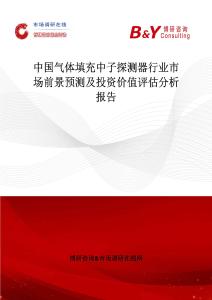 中國氣體填充中子探測器行業(yè)市場前景預(yù)測及投資價值評估分析報告