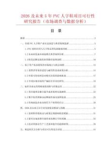 2026及未来5年PVC人字鞋项目可行性研究报告（市场调查与数据分析）