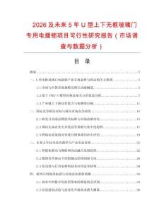 2026及未来5年U型上下无框玻璃门专用电插锁项目可行性研究报告（市场调查与数据分析）