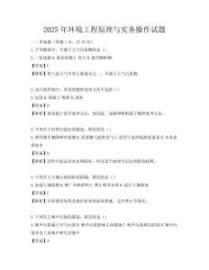 2025年环境工程原理与实务操作试题