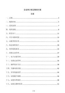 企業審計取證整理方案