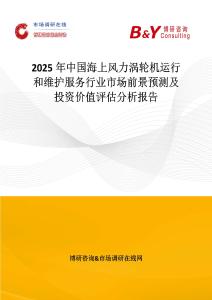 2025年中國(guó)海上風(fēng)力渦輪機(jī)運(yùn)行和維護(hù)服務(wù)行業(yè)市場(chǎng)前景預(yù)測(cè)及投資價(jià)值評(píng)估分析報(bào)告
